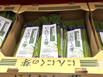 にんにくの芽があった