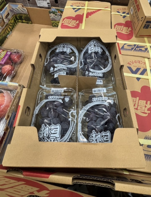 種無し巨峰が入荷