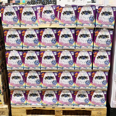 うまれて！ウーモアライブ入荷