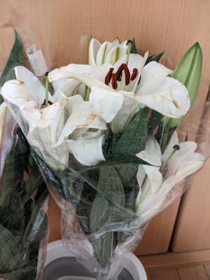 百合の花束が198円で買えた