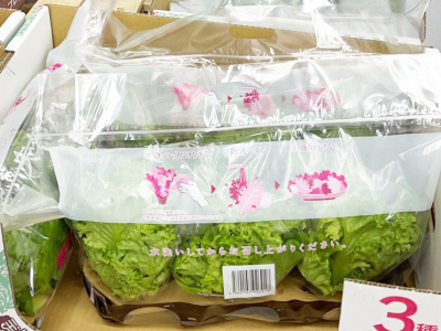新商品！3種のリーフレタス