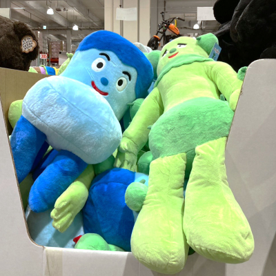 サボさん、コッシー入荷！