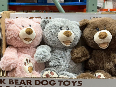 CLASSIC TEDDYが可愛い