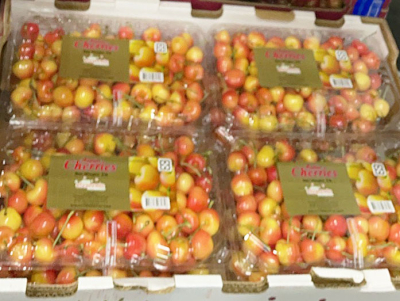 レイニアきたー