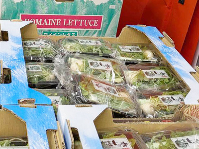 七草セット出ました