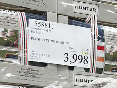 大きなくま入荷＆割引！