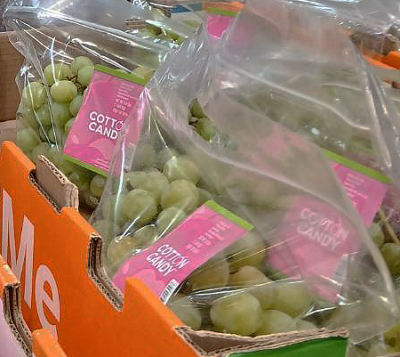 コットンキャンディ入荷！