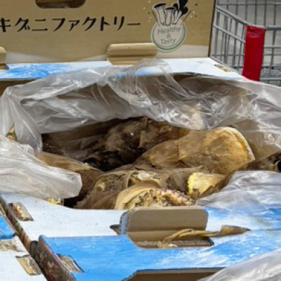 生たけのこが入荷