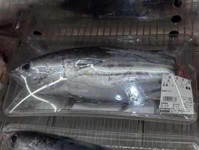 [1](名無し)さんの写真